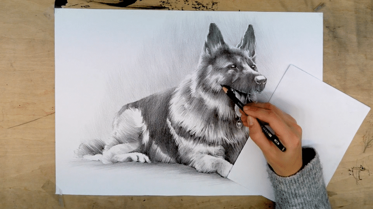 Kurs Jak narysować psa cz. 3.5-high