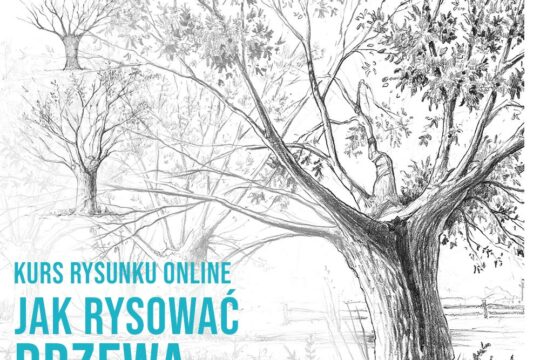 Jak-rysować-drzewa-wierzba-kurs-rysunku-online